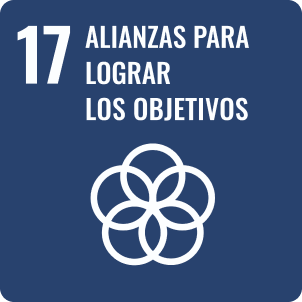 Thinking Football Film Festival comprometido con 17 Alianzas para lograr objetivos de la Agenda 2030