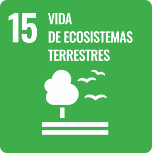 ODS Vida de ecosistemas terrestres