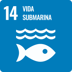 ODS Vida submarina