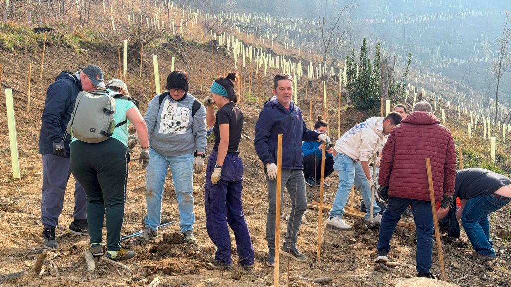 500 New Trees in the Urdaibai Biosphere Reserve
